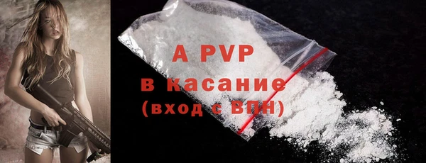 сатива Верхний Тагил