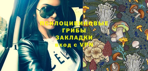 сатива Верхний Тагил