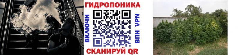 цены   Вичуга  Канабис план 